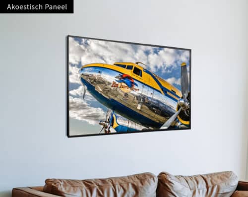 Wall Visual Akoestisch Paneel Congo Queen Plane