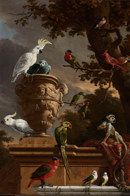 De menagerie, Melchior d'Hondecoeter