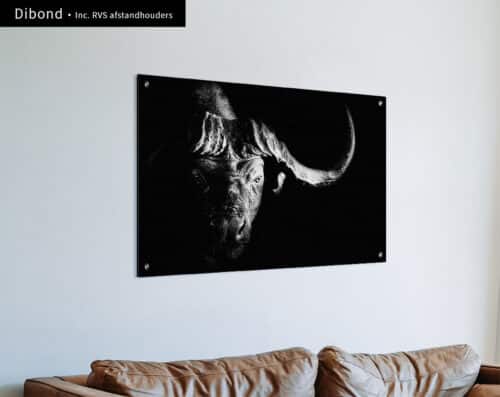 Wall Visual Dibond Buffalo Black and White