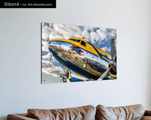 Wall Visual Dibond Congo Queen Plane