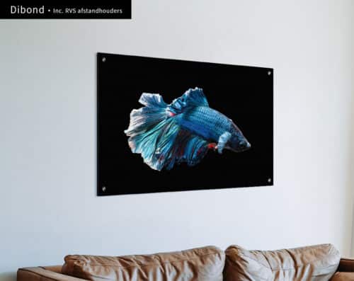 Wall Visual Dibond Elegant Fish