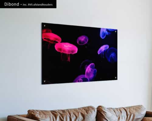 Wall Visual dibond Neon Jellyfish