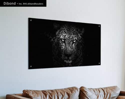 Wall Visual Dibond Panorama Black and White Leopard