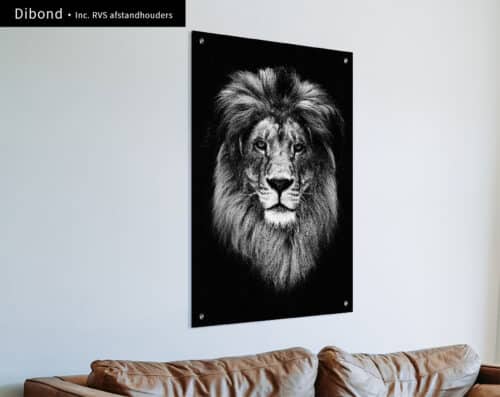 Wall Visual Dibond Lion Black White