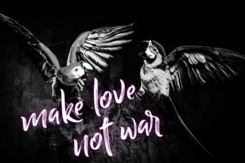Make Love Not War