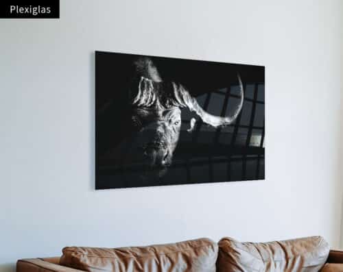 Wall Visual Plexiglas Buffalo Black and White