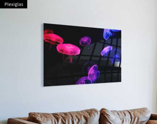 Wall Visual Plexiglas Neon Jellyfish