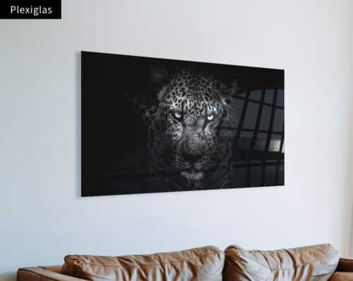 Wall Visual Plexiglas Panorama Black and White Leopard