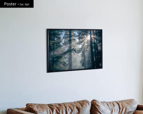 Wall Visual Poster Mystical Forest