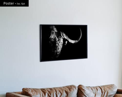 Wall Visual Poster Buffalo Black and White