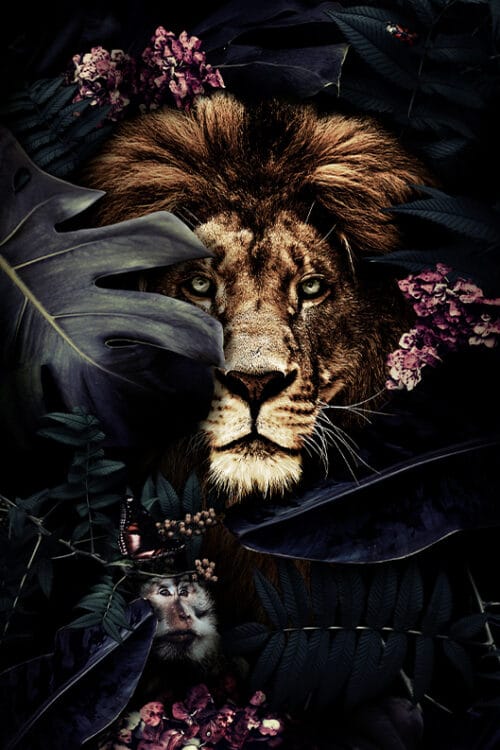 Wall Visual Midnight Jungle Lion