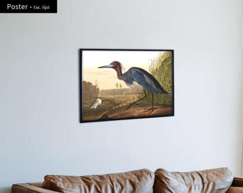 Wall Visual Poster Kleine blauwe reiger