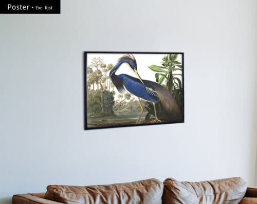 Wall Visual Poster Witbuikreiger