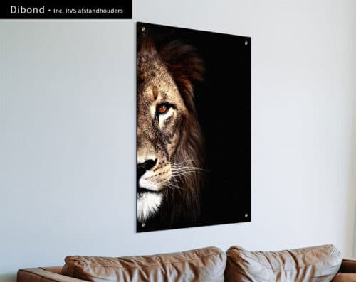 Wall Visual Dibond Lion Side Portrait