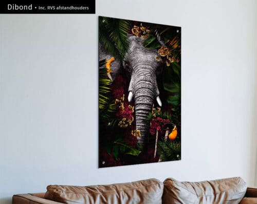 Wall Visual Dibond Tropical Jungle Elephant