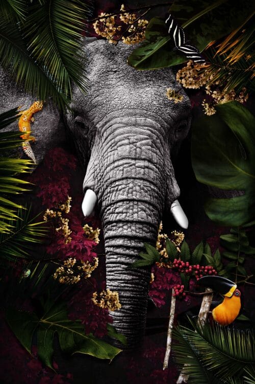 Wall Visual Tropical Jungle Elephant